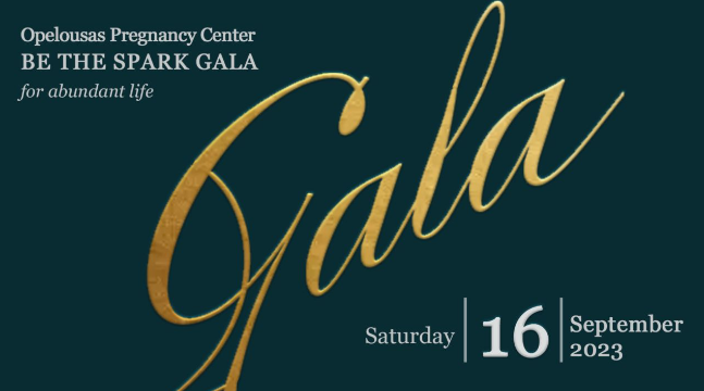 Screenshot 2023-08-21 131039